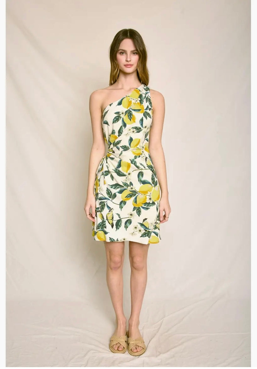 VINTAGE LEMONADE ENAXLAD RYNKAD MINI DRESS